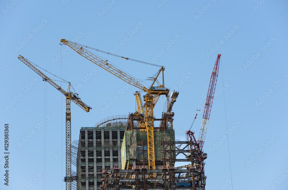 The cranes in the construction site