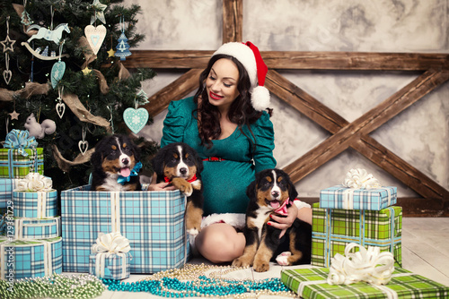 Pregnant woman in suit with a pin-up dog near Christmas tree
