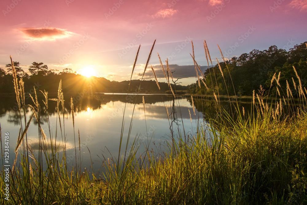 Soft focus of nature sunrise scene at the lake. Soft focus of nature sunrise scene at the lake.