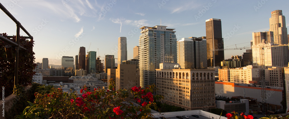 Views of downtown LA No. 2