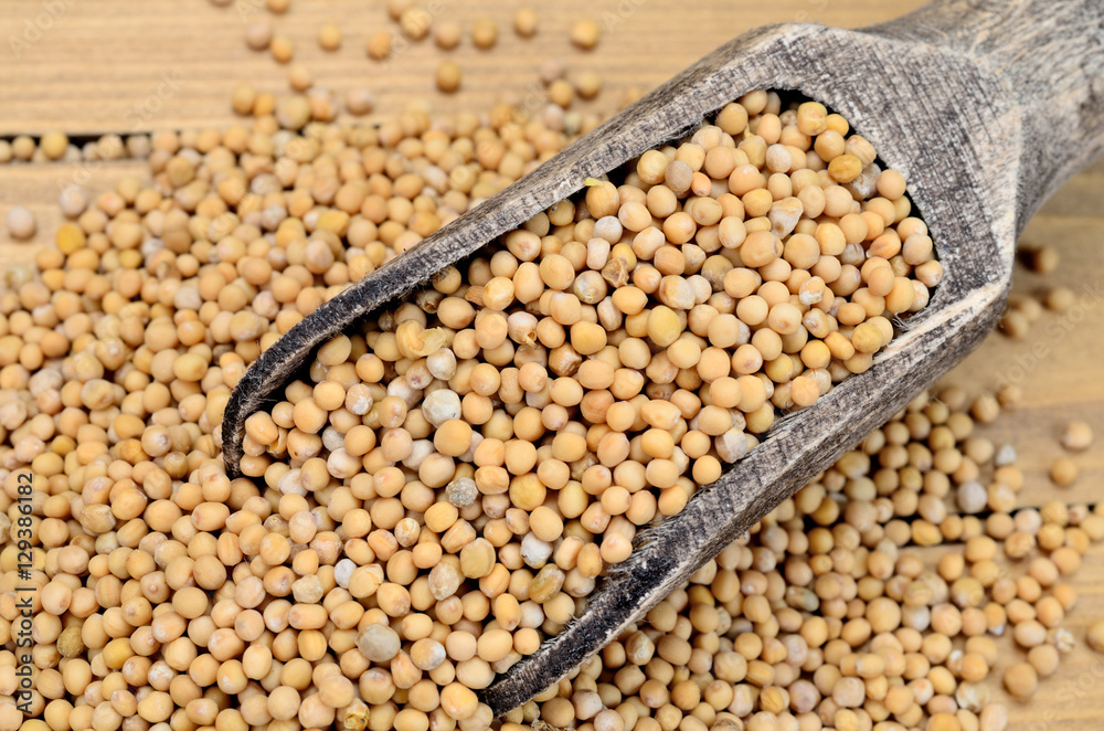 Fototapeta premium mustard seed on table