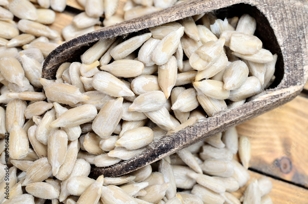 Obraz premium sunflower seed on table