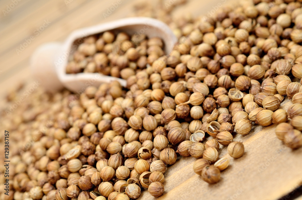 coriander on table coriander on table