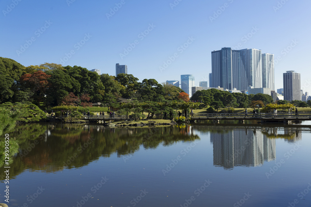 東京都市風景　浜離宮　庭園　秋　紅葉と晴海の高層マンション群