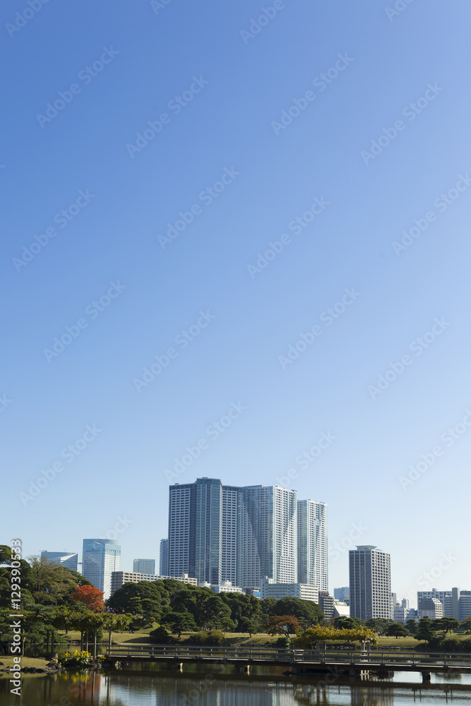 東京都市風景　浜離宮　庭園　秋　紅葉と晴海の高層マンション群
