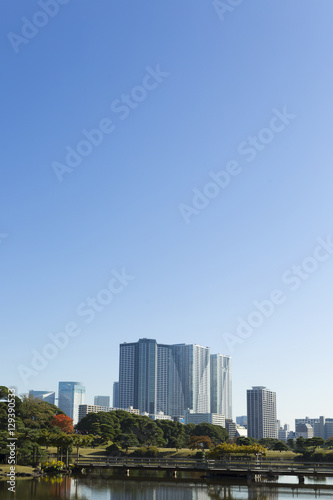 東京都市風景 浜離宮 庭園 秋 紅葉と晴海の高層マンション群
