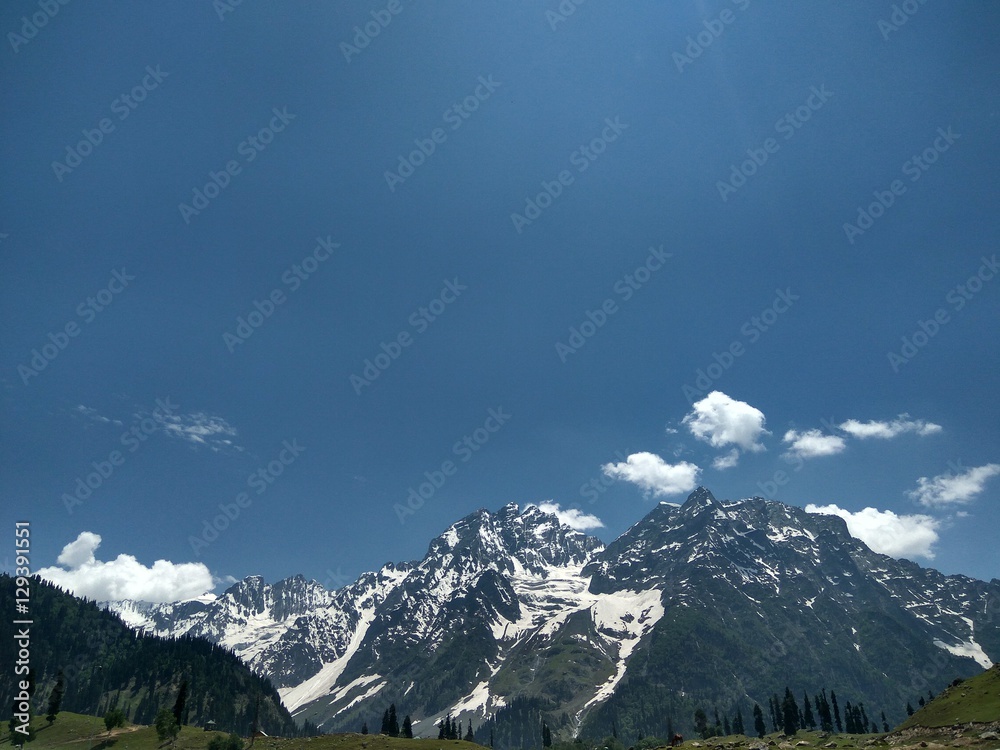 Himalayan View 