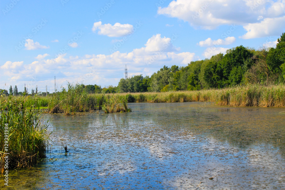 Beautiful lake on summer