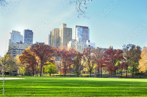 Central park New York. © natian
