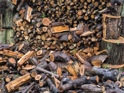 Pile of wet firewood