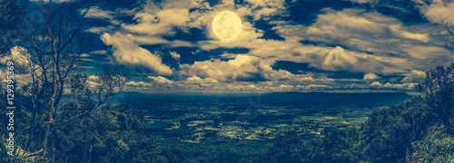 Panorama of tree and boulders against nighttime sky with cloudy.
