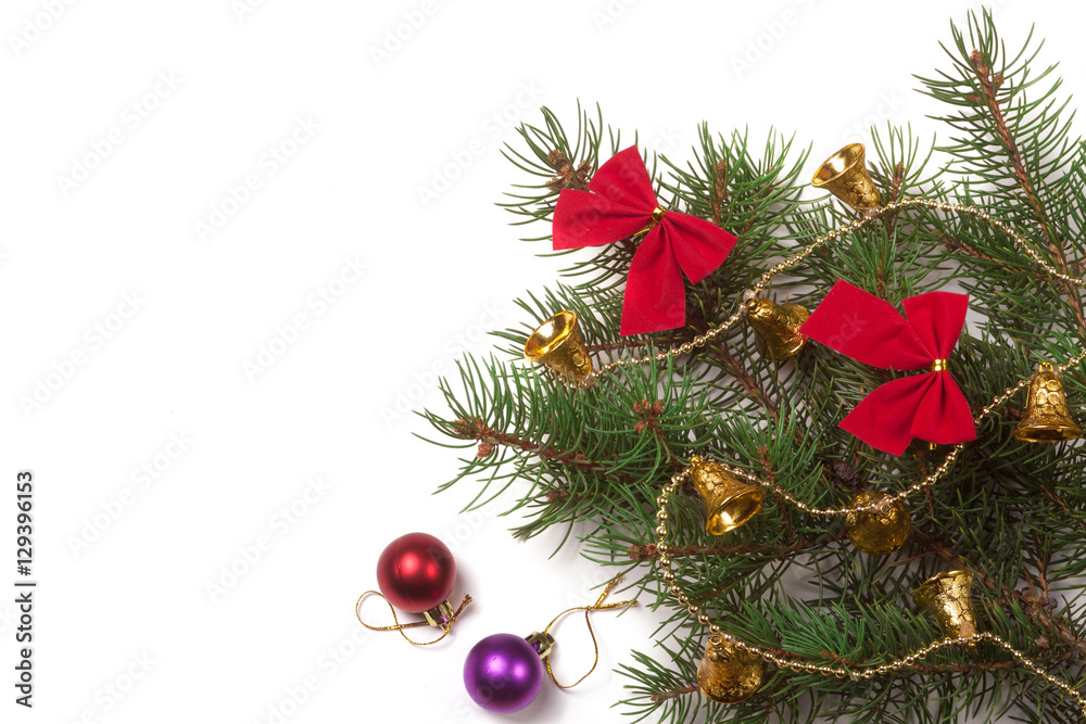 branch of Christmas tree with short needles decorated bells and bows isolated on white background