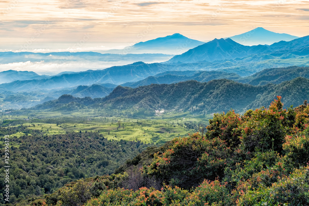 Fototapeta premium View of large area of forest, followed by misty hills and mountains, beautifully layered, seen from Tangkuban Perahu Summit, Indonesia