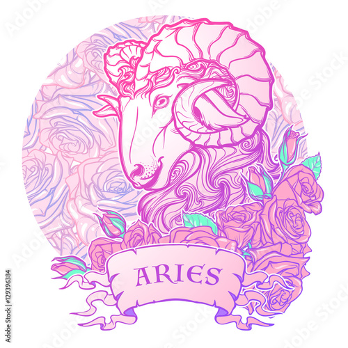 Zodiac sign of Aries. with a decorative frame of roses Astrology concept art. Tattoo design. Sketch in pastel pallette isolated on roses background. EPS10 vector illustration.