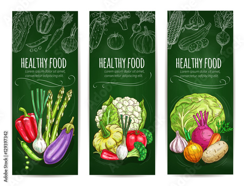 Vegetables sketch on banners. Healthy food