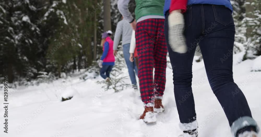 Group Of People Winter Snow Forest Walking Friends Path In Snowy Park Back View Slow Motion 60 Group Of People Winter Snow Forest Walking Friends Path In Snowy Park Back View Slow Motion 60