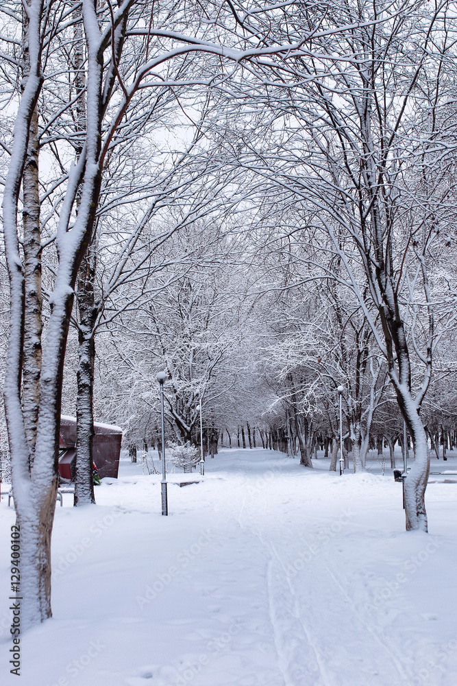 urban central park on the first snowy day of winter