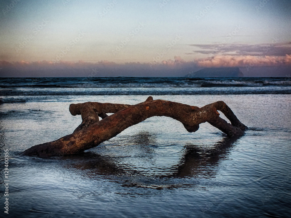 Fototapeta premium Calmness