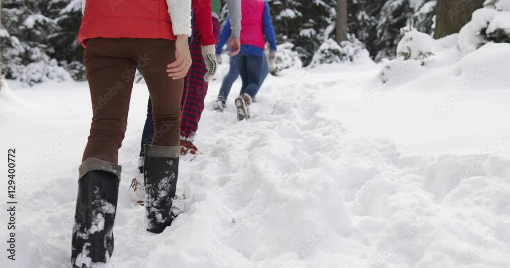 Group Of People Winter Snow Forest Walking Friends Path In Snowy Park Back View Slow Motion 60 Group Of People Winter Snow Forest Walking Friends Path In Snowy Park Back View Slow Motion 60
