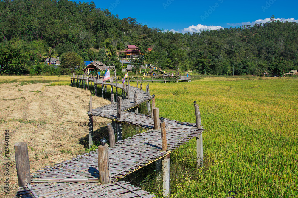 Obraz premium Bamboo bridge over a field in Banpambok Pai, Mae Hong Son, Thailand.
