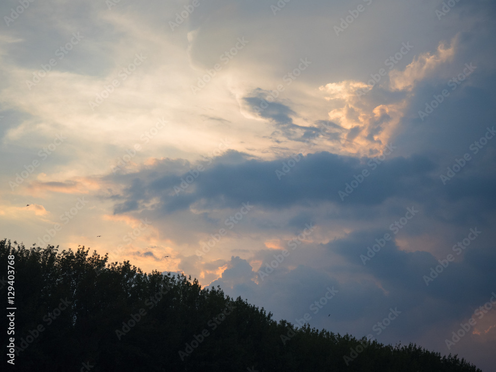 Picture of the sunset cloudy sky over the green top of the trees. Background of the sunset sky and top of the green trees.