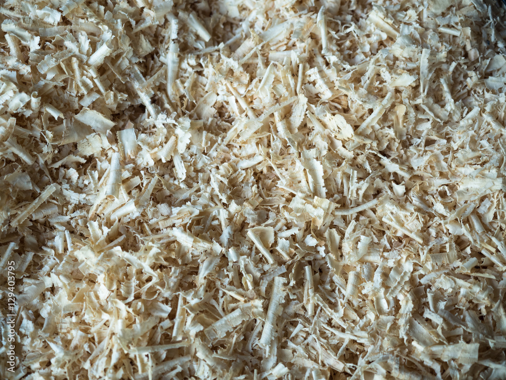 Close up on the white shreded wood pattern. Background of the shreded wood texture close up. Close up on the white shreded wood pattern. Background of the shreded wood texture close up.