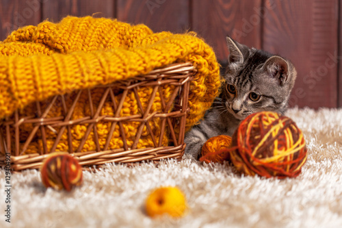 kitten playing with a ball of wool
