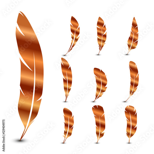 Set of feathers. Vector illustration.