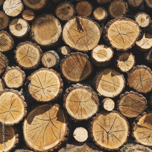 Lumber TImber Trunk Firewood Woodpile Logging Concept