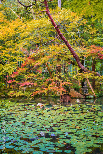 Fototapeta Naklejka Na Ścianę i Meble -  Gardens at Nanzen-ji Temple on Autumn with red maple in Kyoto, Japan.