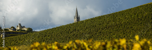 Fotografie, Tablou Vineyards of Saint Emilion, Bordeaux, France