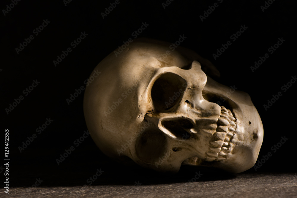 Human skull with dark background. Concept of death, horror and anatomy. Spooky halloween symbol.
