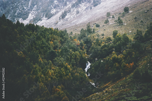 Autumn Coniferous Forest and river Landscape aerial view Travel serene scenic view moody weather