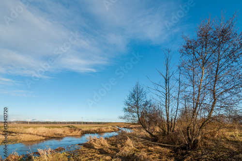 autumn landscape. the narrow marshy river in the field with trees in the foreground under the blue sky