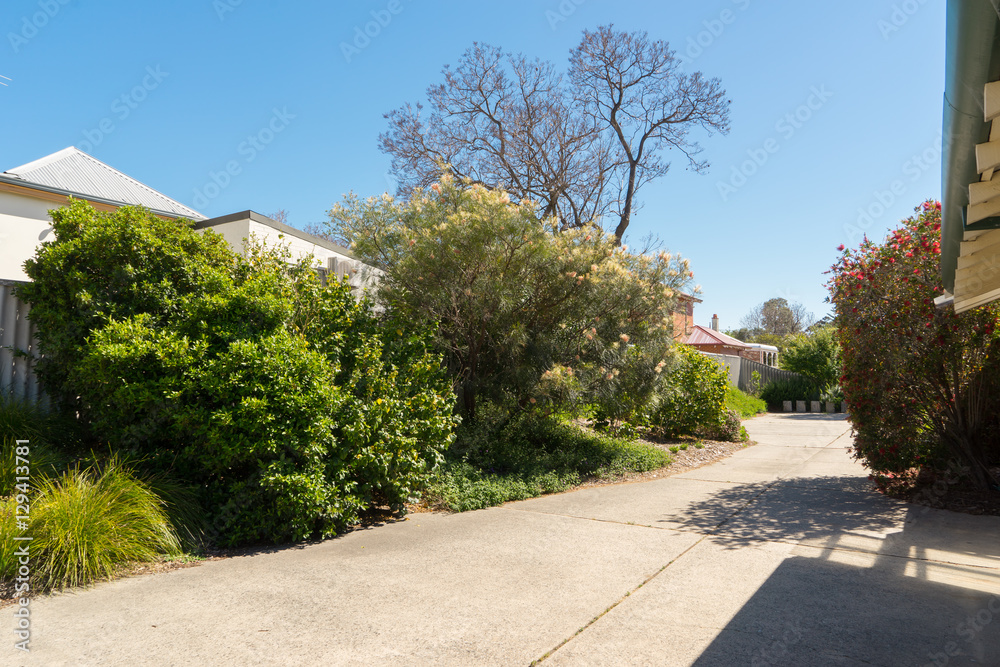 Path in garden with traditional houses in the background, Perth, Western Australia .