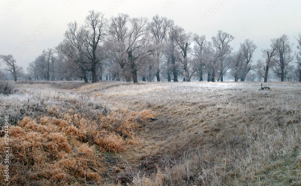 The arrival of winter