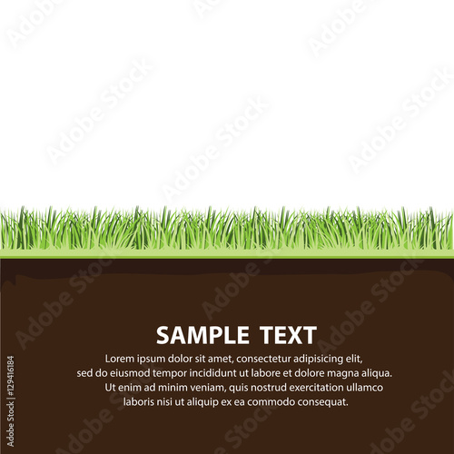 Vector illustration with a beautiful green grass