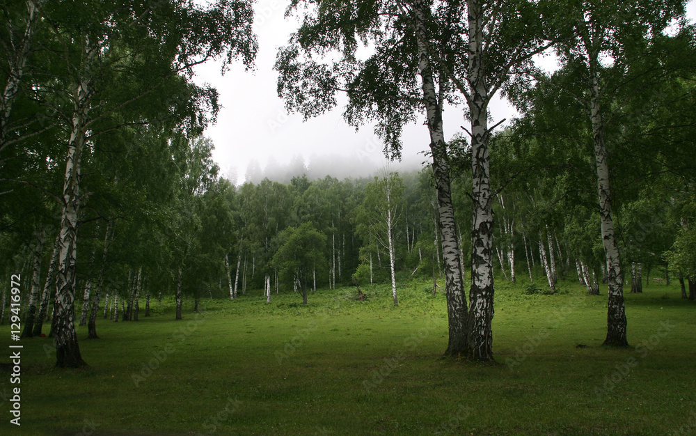 Obraz premium Southern Urals