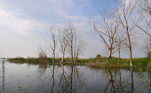 Autumn on the River