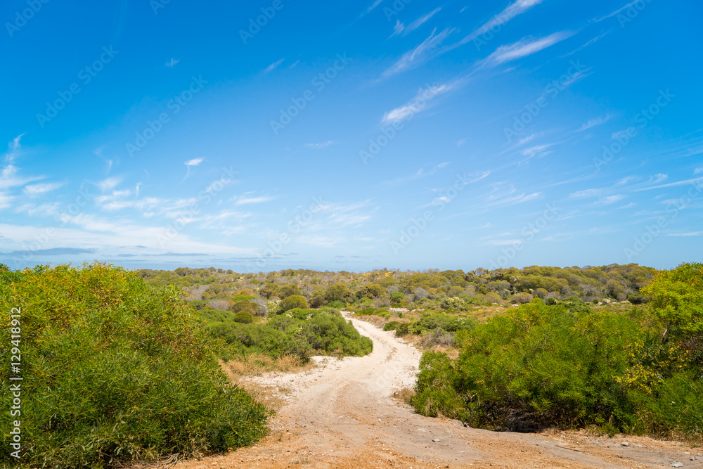 Path through dunes to the beach Path through dunes to the beach