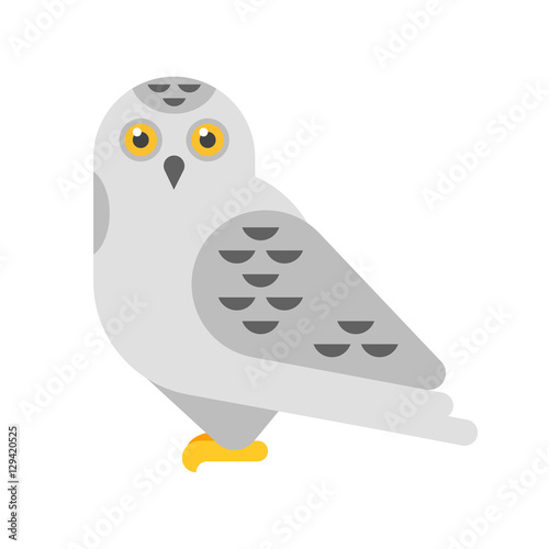 Vector flat style illustration of snowy white owl.