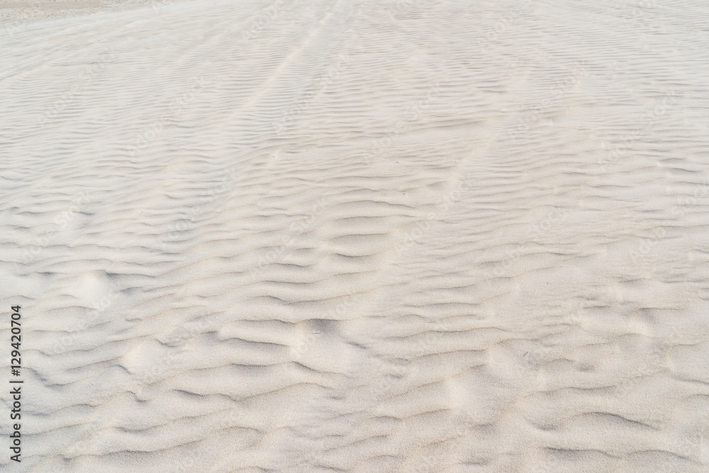 Fototapeta premium View of Lancelin Sand Dunes in Western Australia. This place for Surfing in Sand. Famous of Families enjoying. Landscape View .