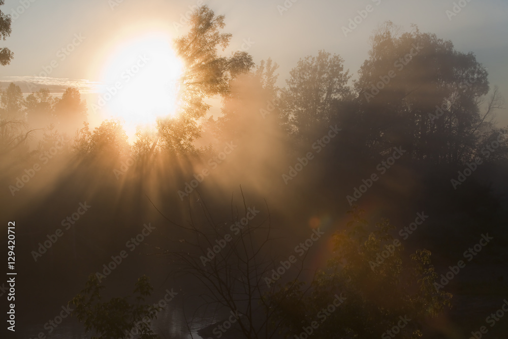 Fototapeta premium rays of the rising sun