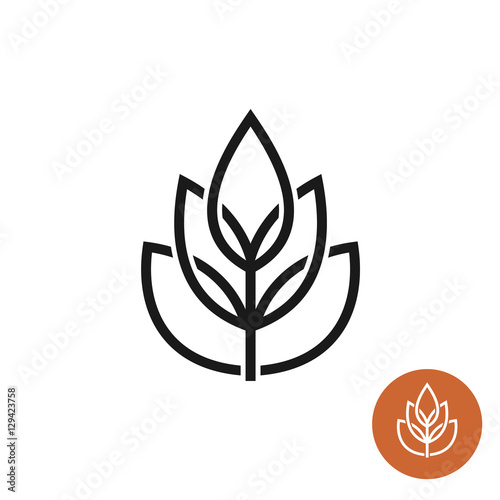Ear of wheat linear style elegant logo