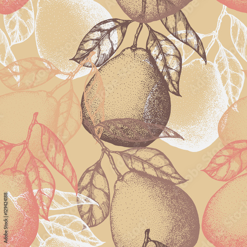 Citrus fruits seamless pattern. Vector background with pomelo