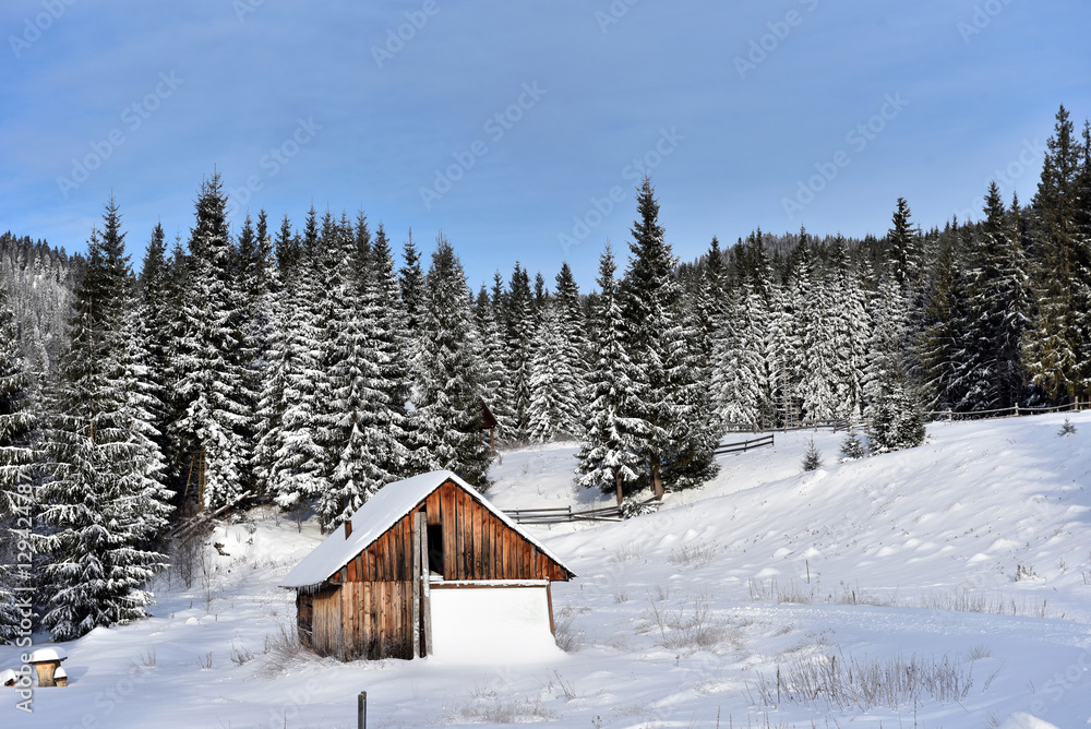 Alpine house covered with snow in the mountains