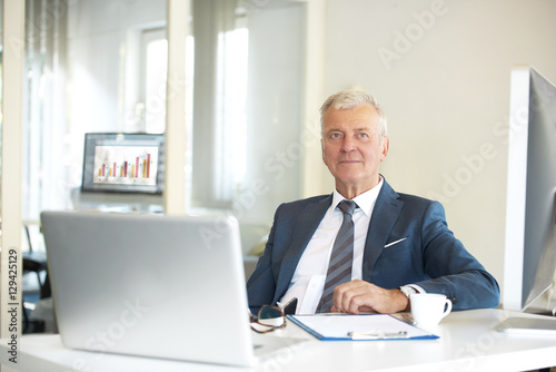 Senior professional man working in the office