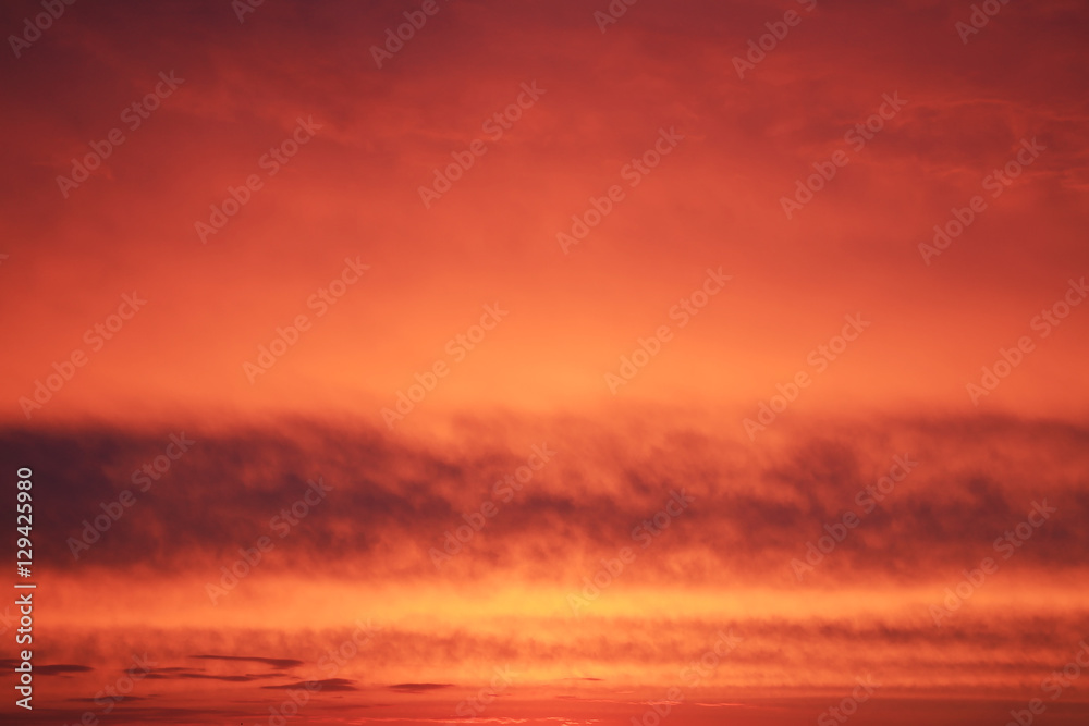 flame of sunset flame of sunset