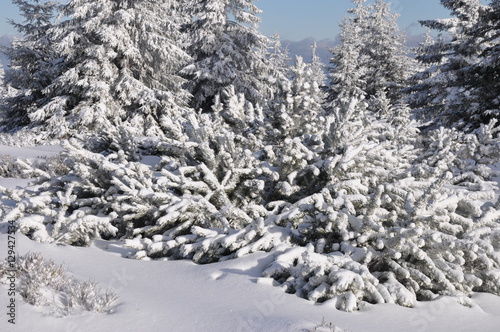 Winter im tschechischen Riesengebirge/Krkonoše