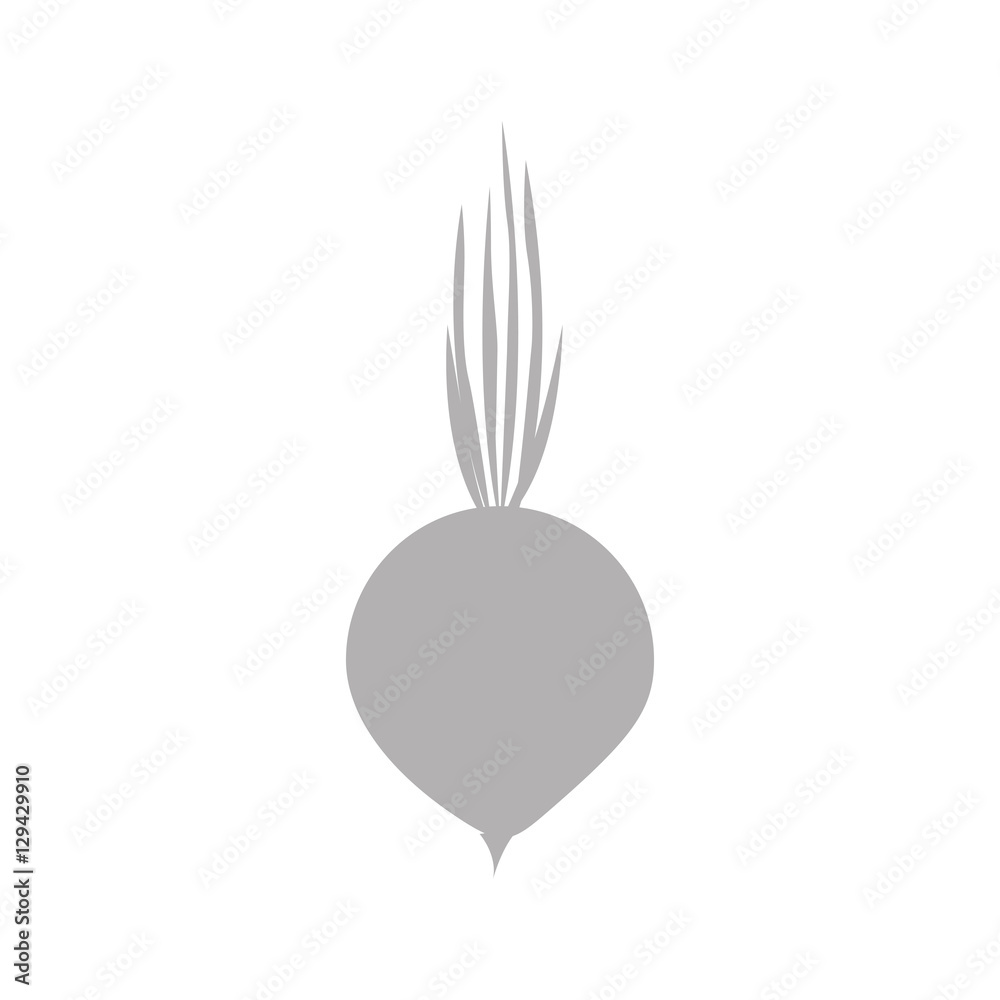 silhouette gray color with onion vegetable vector illustration